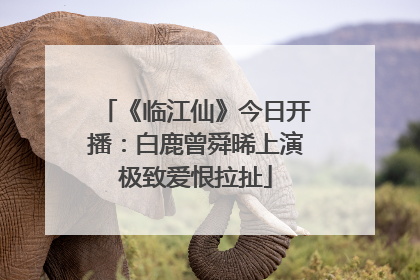 《临江仙》今日开播：白鹿曾舜晞上演极致爱恨拉扯