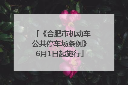 《合肥市机动车公共停车场条例》6月1日起施行