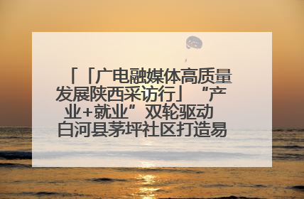 「广电融媒体高质量发展陕西采访行」“产业+就业”双轮驱动 白河县茅坪社区打造易地搬迁后扶新样本