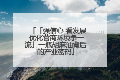 「强信心 看发展 优化营商环境争一流」一瓶胡麻油背后的产业密码
