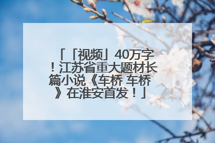 「视频」40万字！江苏省重大题材长篇小说《车桥 车桥》在淮安首发！