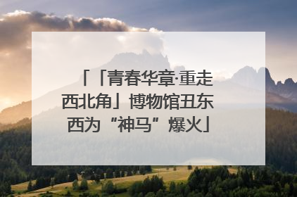 「青春华章·重走西北角」博物馆丑东西为“神马”爆火