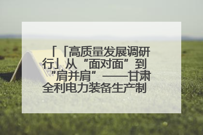 「高质量发展调研行」从“面对面”到“肩并肩”——甘肃全利电力装备生产制造项目一线见闻