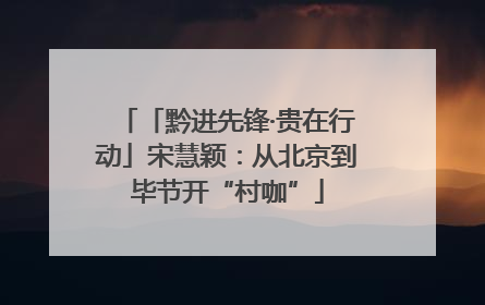 「黔进先锋·贵在行动」宋慧颖：从北京到毕节开“村咖”