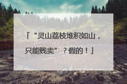 “灵山荔枝堆积如山，只能贱卖”？假的！