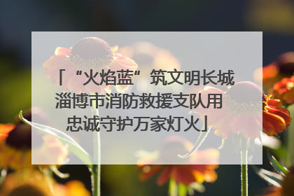 “火焰蓝”筑文明长城 淄博市消防救援支队用忠诚守护万家灯火
