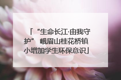 “生命长江·由我守护” 峨眉山桂花桥镇小增加学生环保意识
