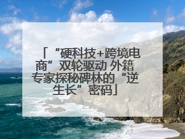 “硬科技+跨境电商”双轮驱动 外籍专家探秘碑林的“逆生长”密码