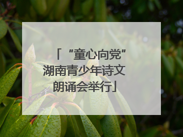 “童心向党”湖南青少年诗文朗诵会举行