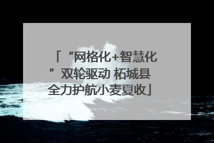 “网格化+智慧化”双轮驱动 柘城县全力护航小麦夏收