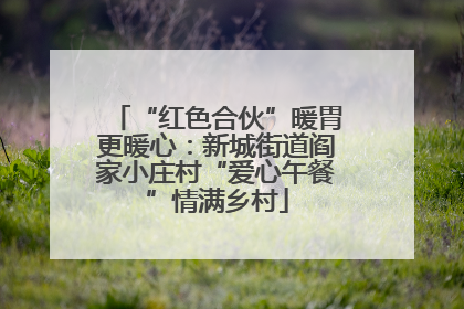 “红色合伙”暖胃更暖心：新城街道阎家小庄村“爱心午餐”情满乡村