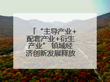 “主导产业+配套产业+衍生产业” 镇域经济创新发展释放强劲发展动能