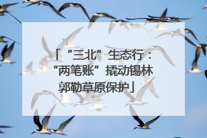 “三北”生态行：“两笔账”撬动锡林郭勒草原保护