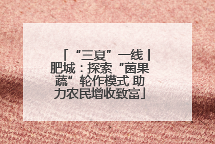 “三夏”一线丨肥城：探索“菌果蔬”轮作模式 助力农民增收致富