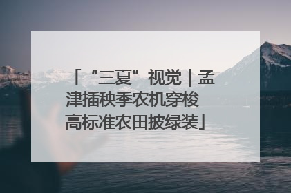 “三夏”视觉｜孟津插秧季农机穿梭 高标准农田披绿装
