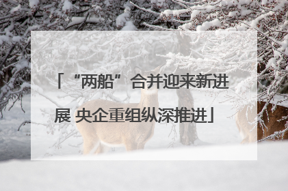 “两船”合并迎来新进展 央企重组纵深推进
