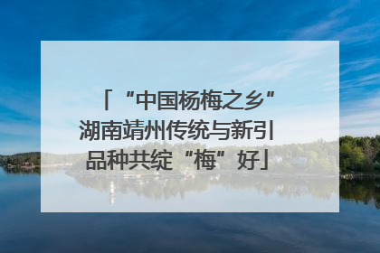 “中国杨梅之乡”湖南靖州传统与新引品种共绽“梅”好
