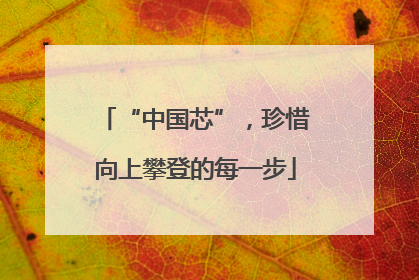 “中国芯”，珍惜向上攀登的每一步
