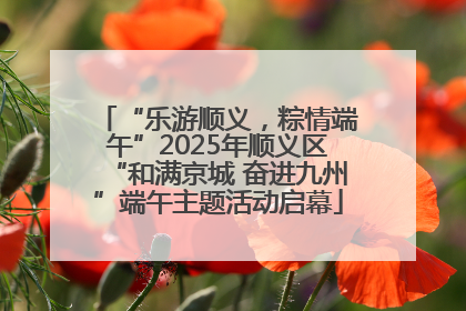“乐游顺义，粽情端午”2025年顺义区“和满京城 奋进九州”端午主题活动启幕