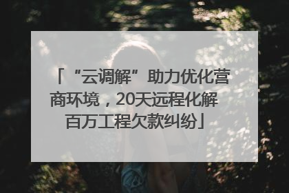 “云调解”助力优化营商环境，20天远程化解百万工程欠款纠纷