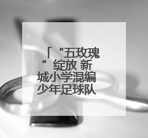 “五玫瑰”绽放 新城小学混编少年足球队勇夺四强