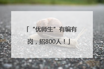 “优师生”有编有岗，招800人！
