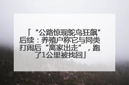 “公路惊现鸵鸟狂飙”后续：养殖户称它与同类打闹后“离家出走”，跑了1公里被找回