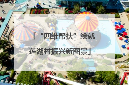 “四维帮扶”绘就莲湖村振兴新图景