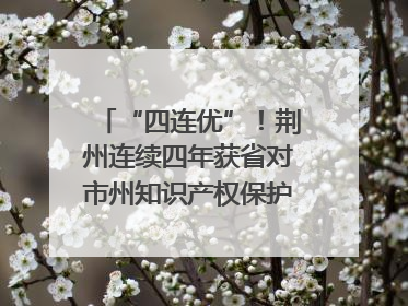 “四连优”！荆州连续四年获省对市州知识产权保护考核优秀等次