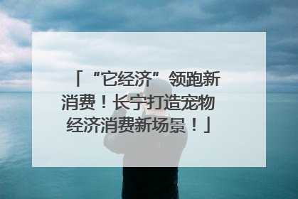 “它经济”领跑新消费！长宁打造宠物经济消费新场景！