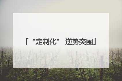 “定制化” 逆势突围