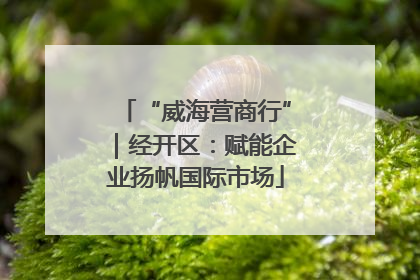 “威海营商行”｜经开区：赋能企业扬帆国际市场