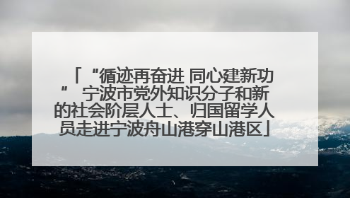 “循迹再奋进 同心建新功” 宁波市党外知识分子和新的社会阶层人士、归国留学人员走进宁波舟山港穿山港区
