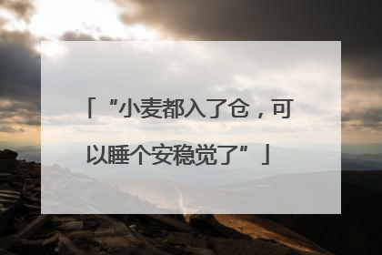 “小麦都入了仓，可以睡个安稳觉了”