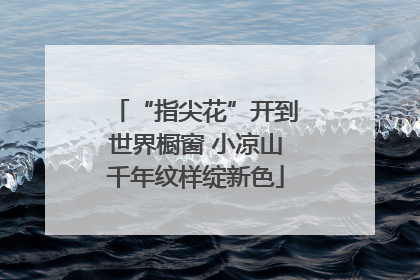 “指尖花”开到世界橱窗 小凉山千年纹样绽新色