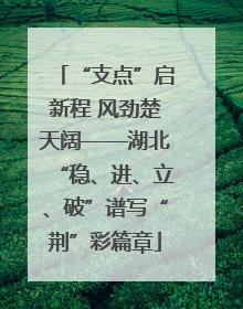 “支点”启新程 风劲楚天阔——湖北“稳、进、立、破”谱写“荆”彩篇章