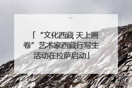 “文化西藏 天上画卷”艺术家西藏行写生活动在拉萨启动