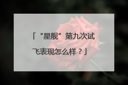 “星舰”第九次试飞表现怎么样？