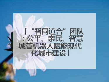 “智同道合”团队：公平、亲民、智慧城管机器人赋能现代化城市建设