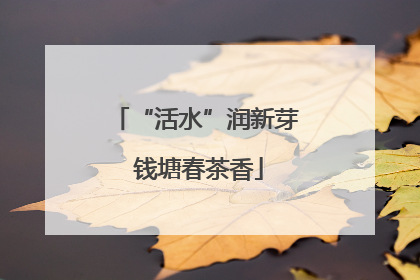 “活水”润新芽 钱塘春茶香