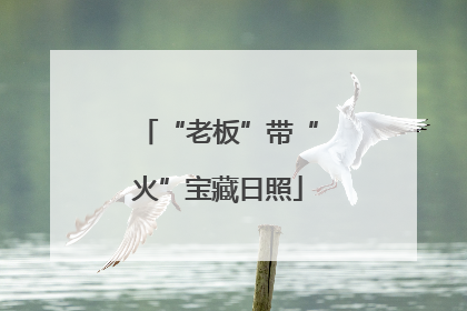 “老板”带“火”宝藏日照