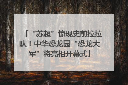 “苏超”惊现史前拉拉队！中华恐龙园“恐龙大军”将亮相开幕式