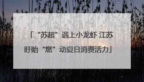 “苏超”遇上小龙虾 江苏盱眙“燃”动夏日消费活力