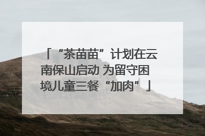 “茶苗苗”计划在云南保山启动 为留守困境儿童三餐“加肉”