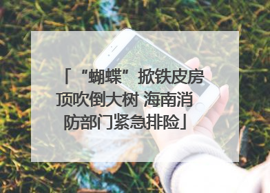 “蝴蝶”掀铁皮房顶吹倒大树 海南消防部门紧急排险