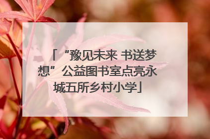 “豫见未来 书送梦想”公益图书室点亮永城五所乡村小学