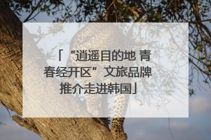 “逍遥目的地 青春经开区”文旅品牌推介走进韩国