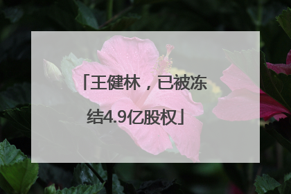 王健林，已被冻结4.9亿股权