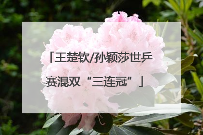 王楚钦/孙颖莎世乒赛混双“三连冠”