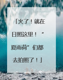 火了！就在日照这里！“夏雨荷”们都去拍照了！